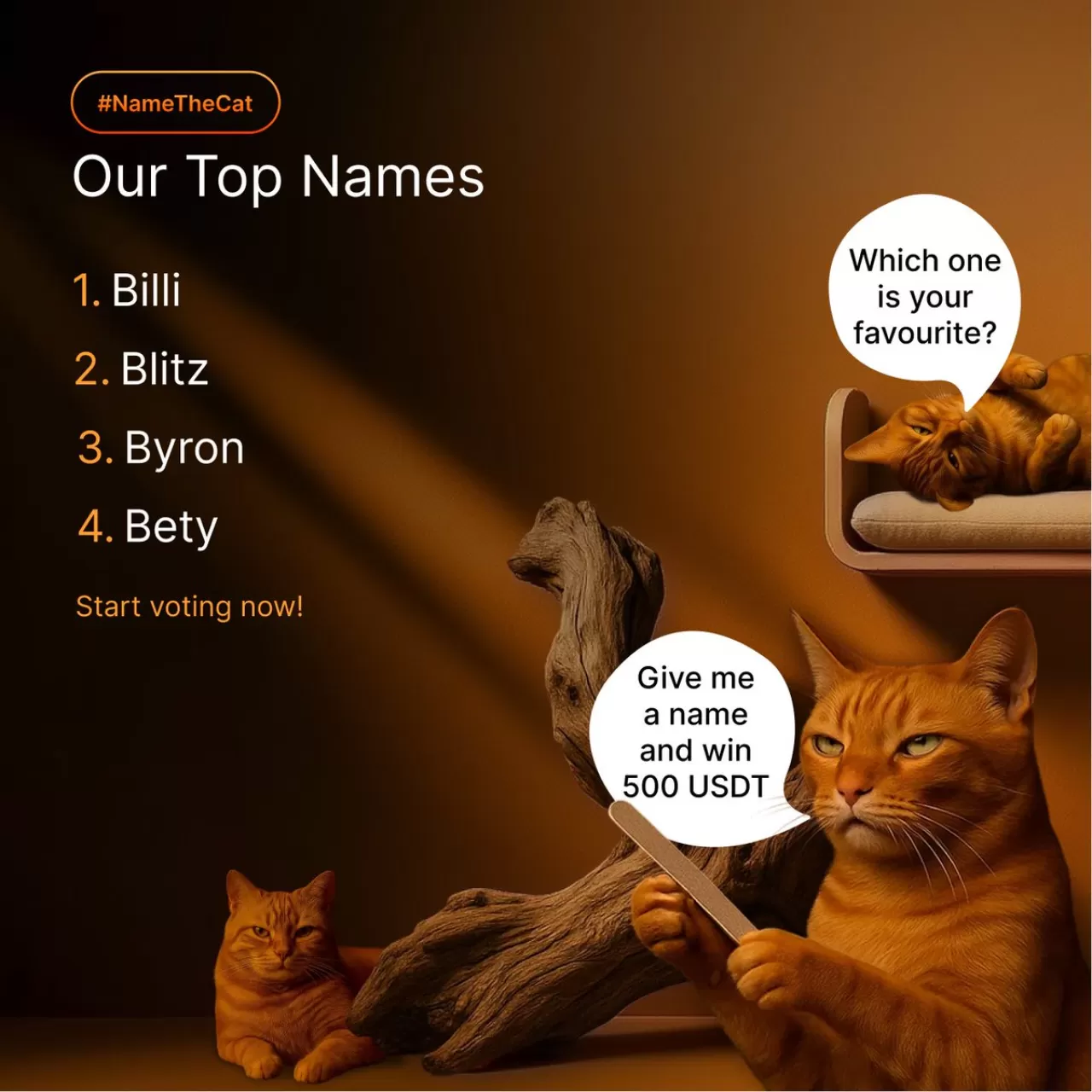 Bybit'in Yeni Maskot İsmi İçin Oylama Başladı: En Sevilen 4 İsim Arasından Seçim Yapın