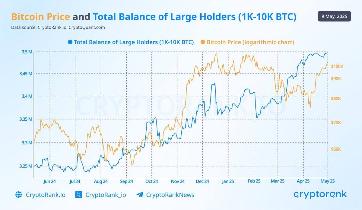 Büyük Bitcoin Cüzdanları Portföylerini Artırmaya Devam Ediyor