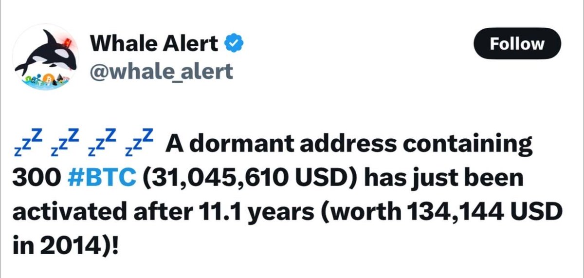 11 Yıl Sonra Yeniden Aktive Edilen Cüzdan, 300 Bitcoin İçeriyordu