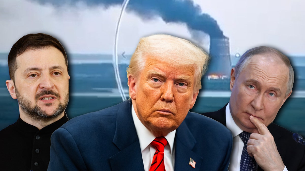 Trump, Putin ile Telefon Görüşmesi Yapacak, Ardından Zelenskiy ve NATO ile Değerlendirme