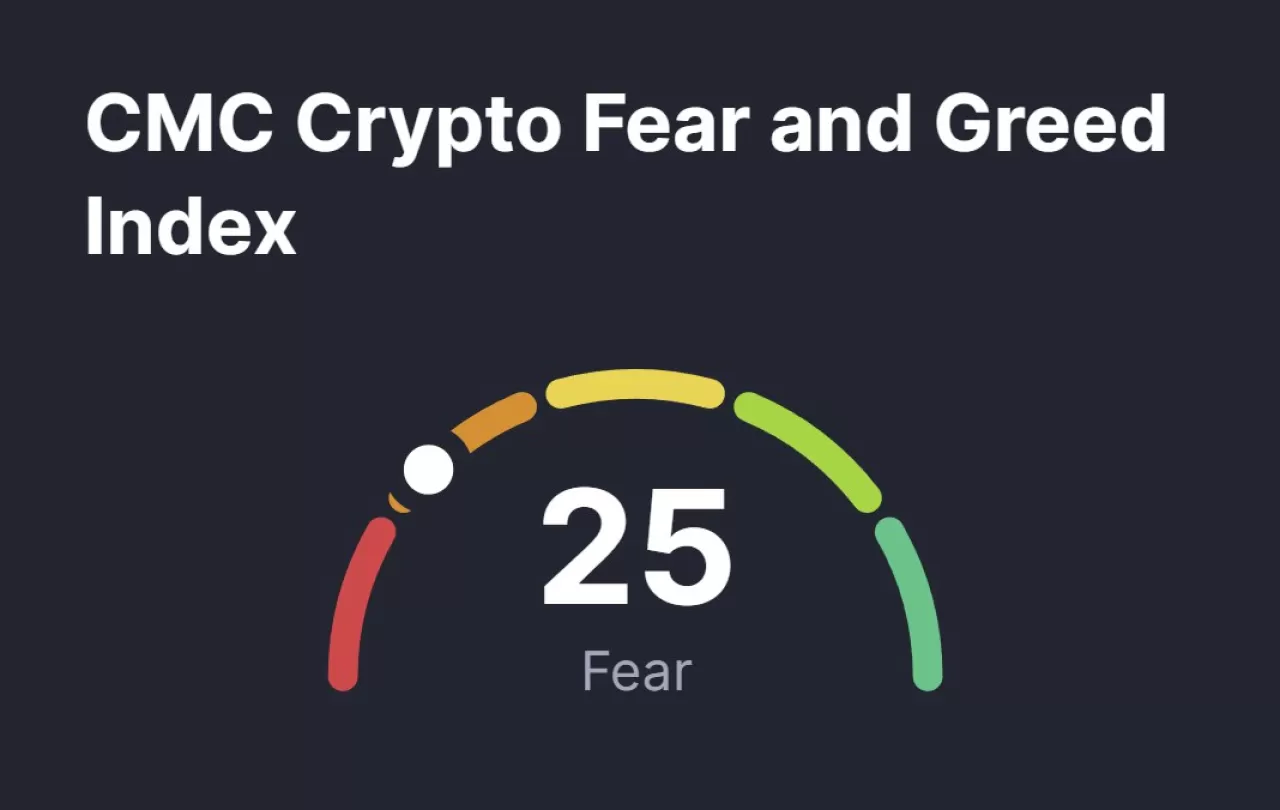 Kripto Piyasasındaki Dalgalanmaya Rağmen Yatırımcıların İnancı Sürüyor